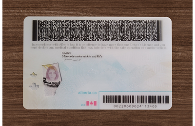 Alberta (Alta) Fake DL (2026 Version)